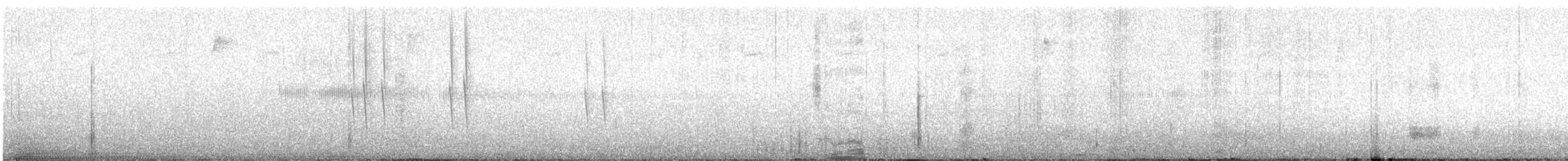 シロハラチビハチドリ - ML622675161