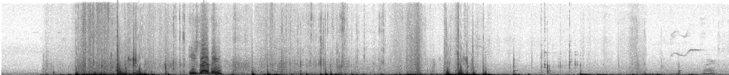 シロハラチビハチドリ - ML622675168