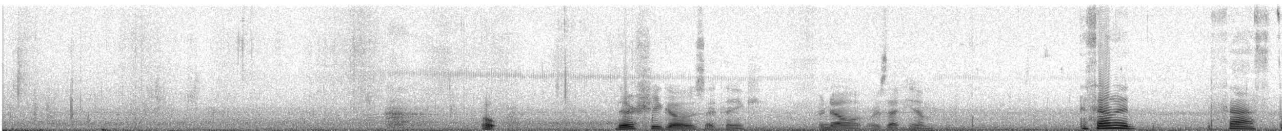 White-bellied Woodstar - ML622675169