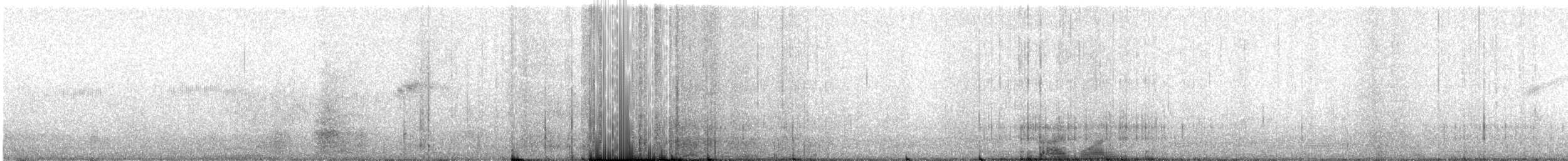 シロハラチビハチドリ - ML622675170