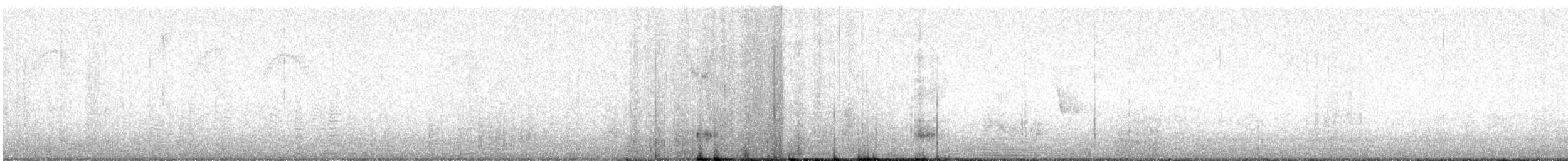 White-bellied Woodstar - ML622675172