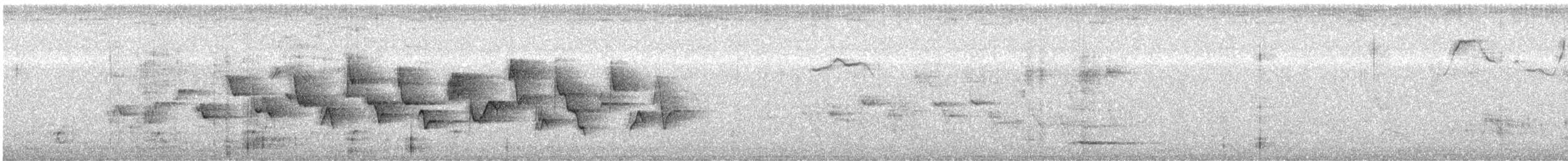 Azulillo Morado - ML622675940