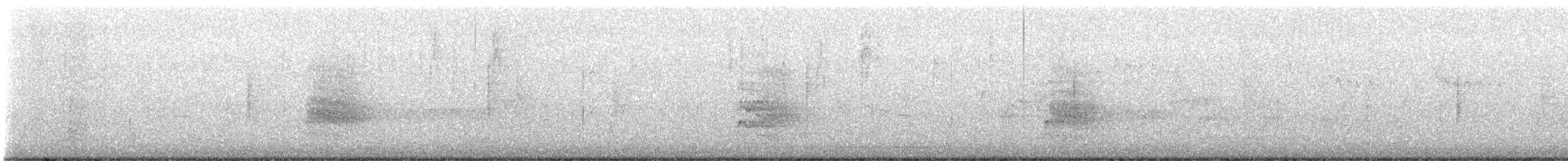rapace sp. - ML622676994