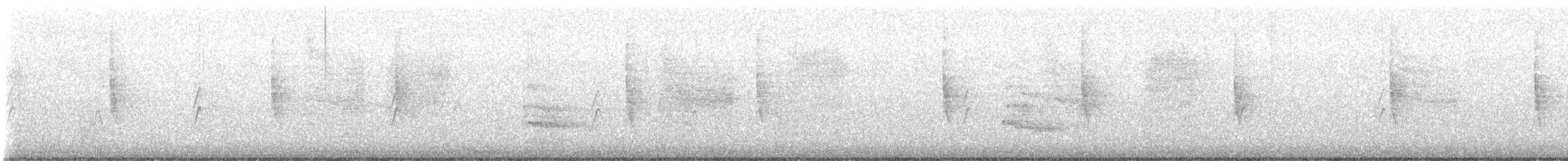 rapace sp. - ML622676995