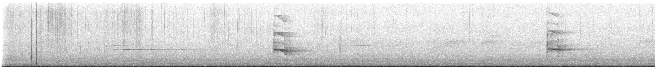rapace sp. - ML622676996