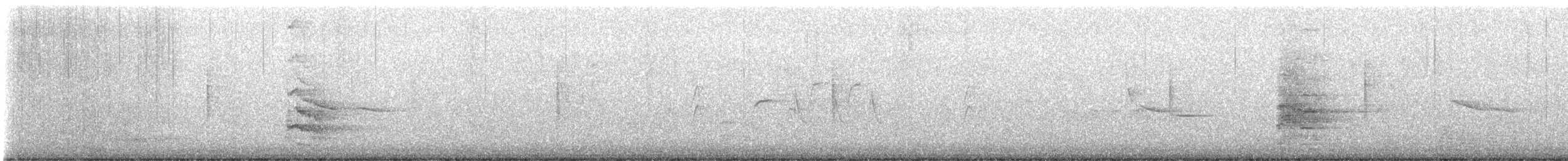 rapace sp. - ML622676997