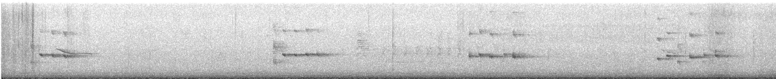 rapace sp. - ML622676998