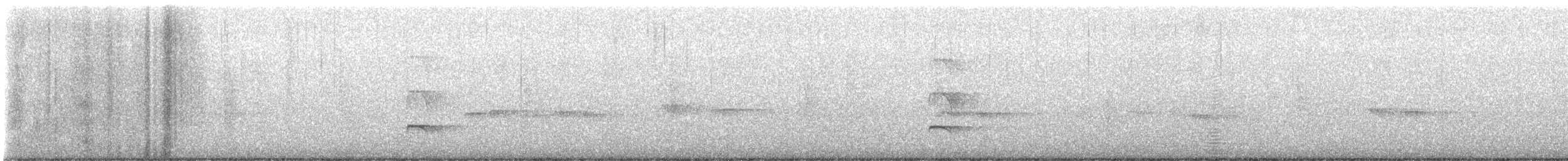 rapace sp. - ML622676999