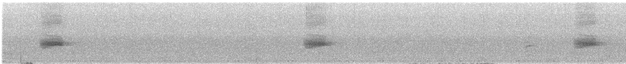 Dark-sided Thrush - ML622679010