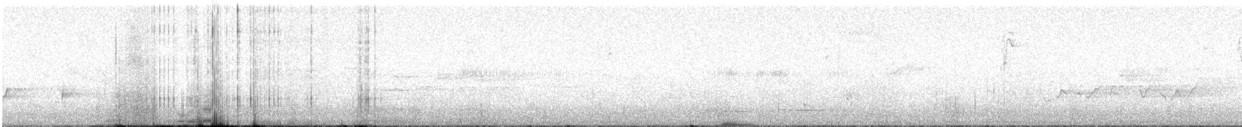 シロハラチビハチドリ - ML622680259