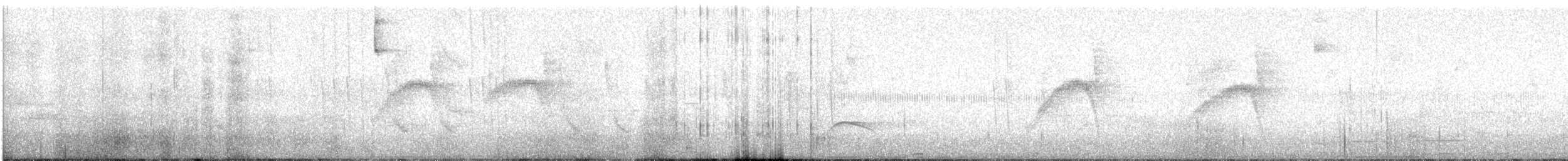 シロハラチビハチドリ - ML622680260