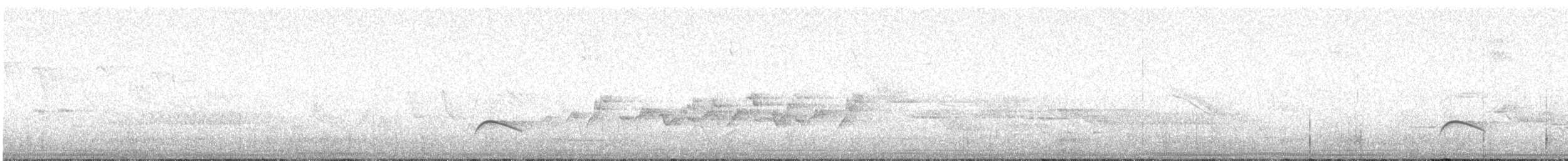 シロハラチビハチドリ - ML622680261