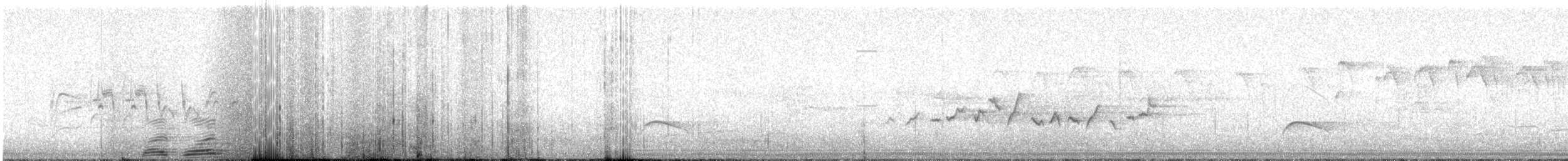 White-bellied Woodstar - ML622680262