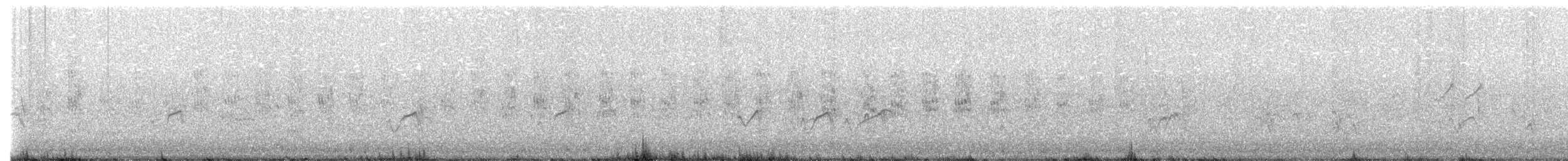 Semipalmated Plover - ML622681774