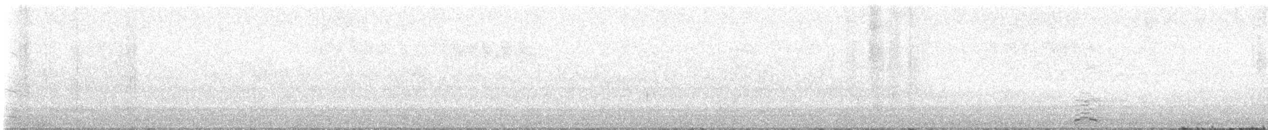 American Herring Gull - ML622684904