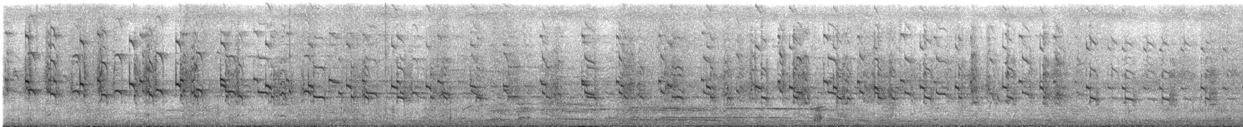 Râle à collier - ML622689793