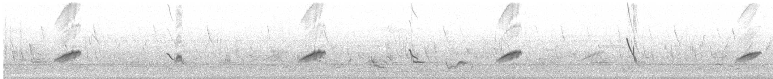 Long-legged Pipit - ML622702840