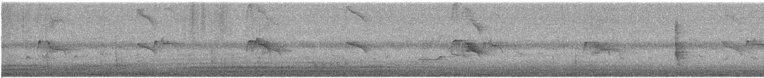 Black Phoebe - ML622703853
