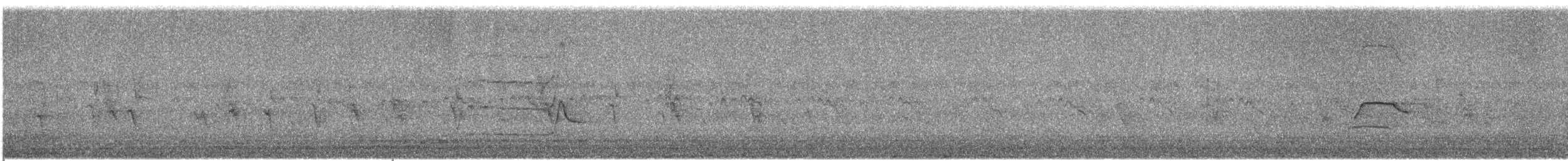 Kumru - ML622704274