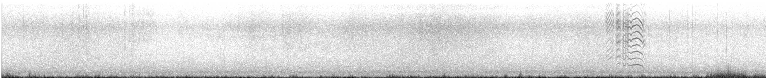 Gray Gull - ML622706634