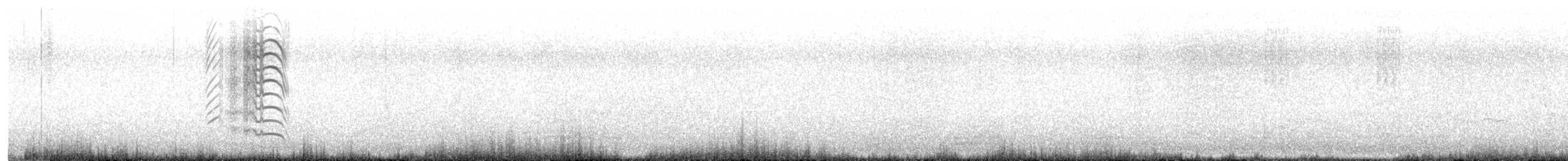 Gray Gull - ML622706685