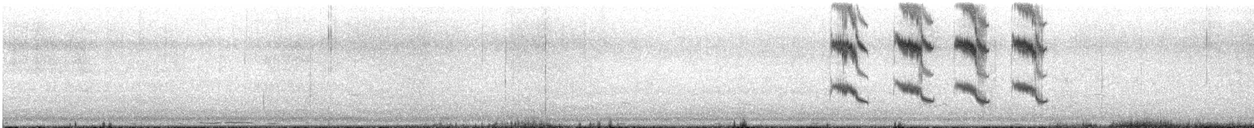 ørkenmåke - ML622707193