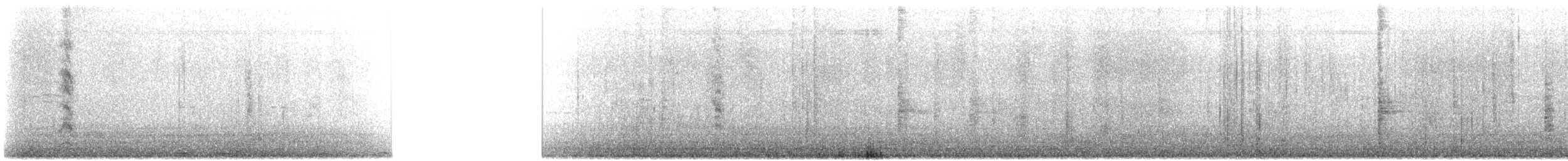 クビワカモメ - ML622719533