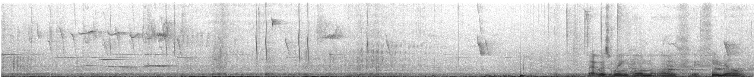 White-bellied Woodstar - ML622724094