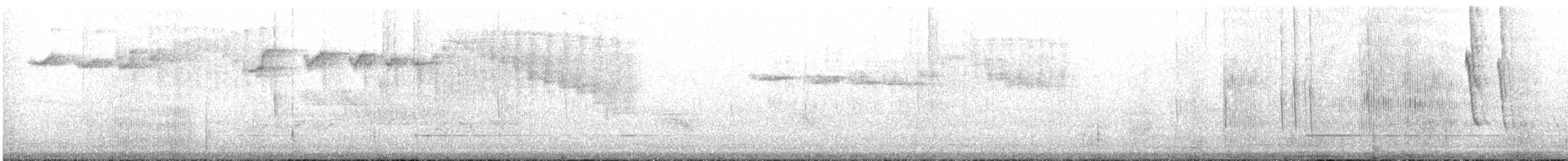 White-bellied Woodstar - ML622724095