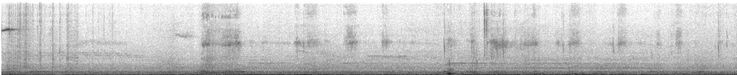 シロハラチビハチドリ - ML622724097