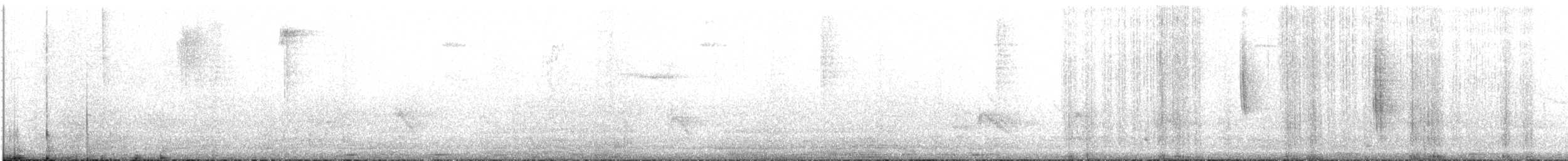 Inca Ventrivioleta - ML622724127
