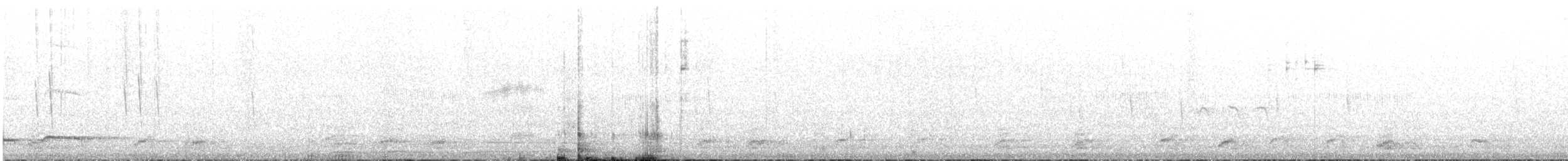 White-bellied Woodstar - ML622724403