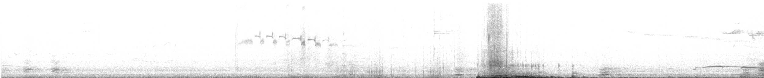 シロハラチビハチドリ - ML622724404