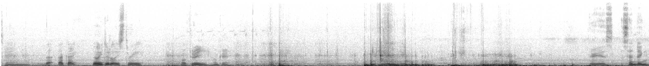 シロハラチビハチドリ - ML622724405