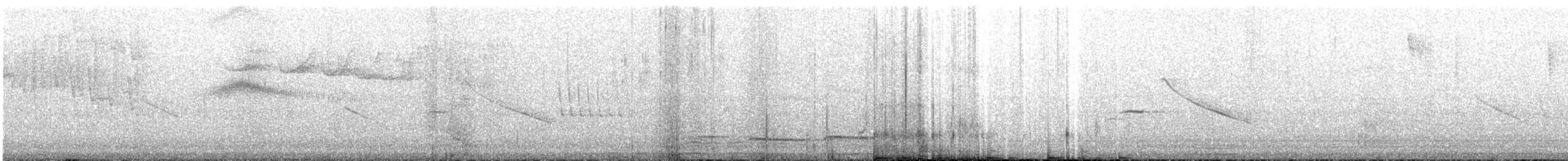 シロハラチビハチドリ - ML622724406