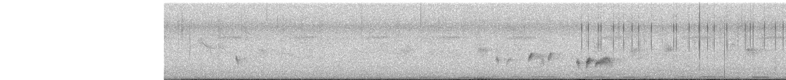 Collared Finchbill - ML622727442