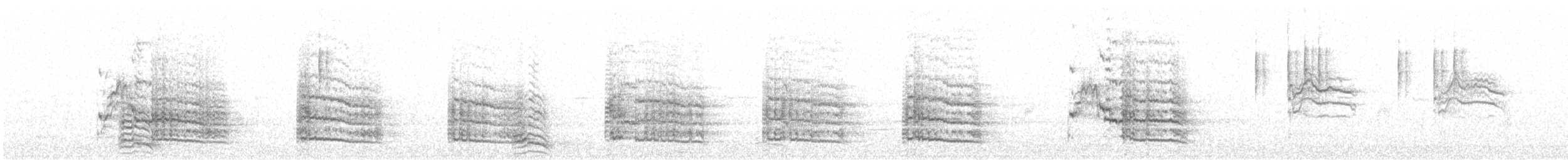 Lesser Black-backed Gull - ML622728883