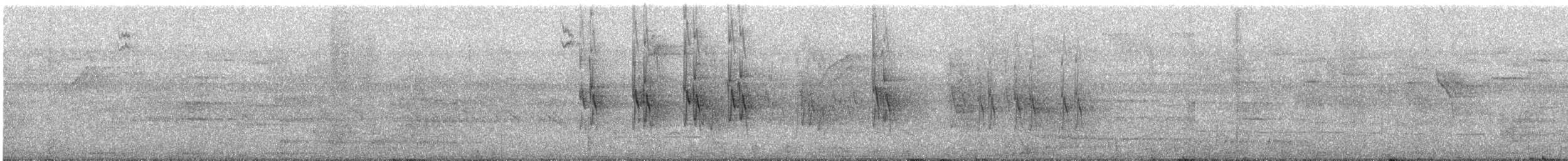 Social Flycatcher - ML622745685