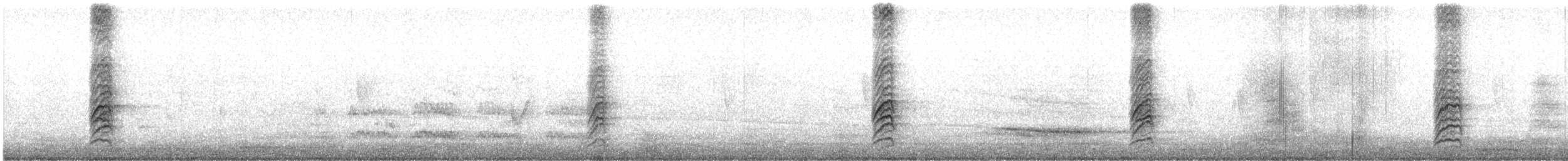 Austral Thrush - ML622746976