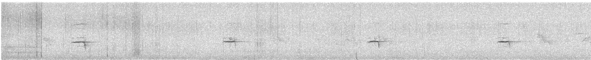 Tyranneau imberbe - ML622750030