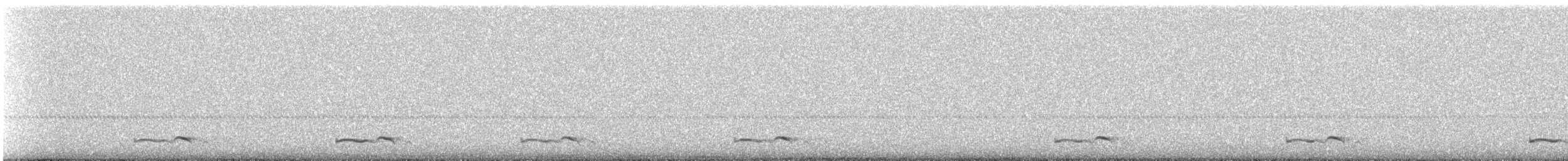Common Poorwill - ML622750948