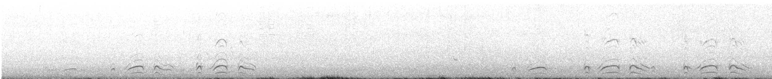 California Quail - ML622753275