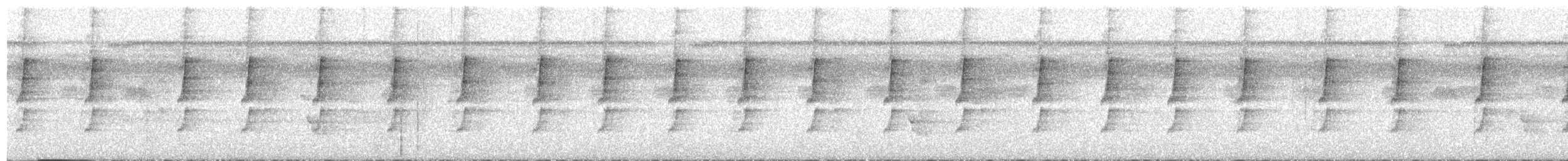 Great-billed Hermit - ML622753653