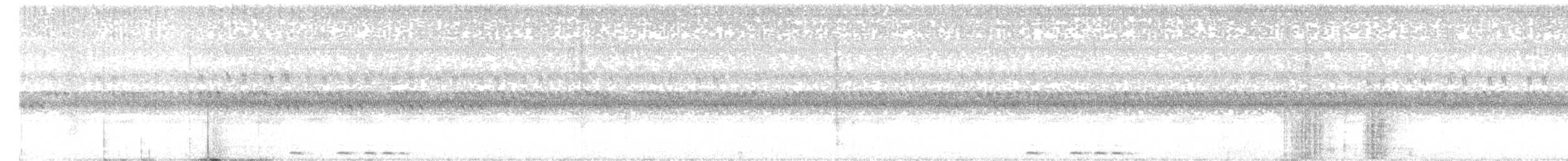 Western Screech-Owl - ML622755273