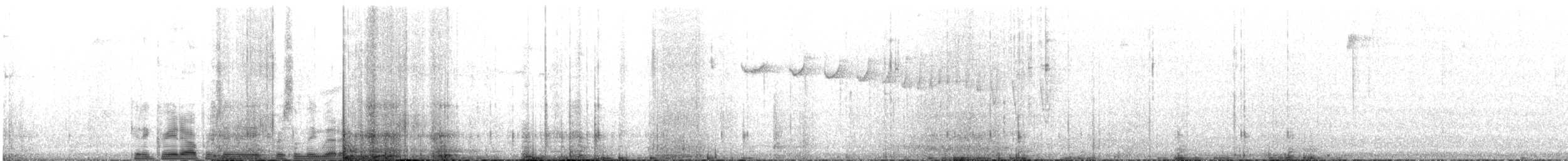 White-bellied Woodstar - ML622757820