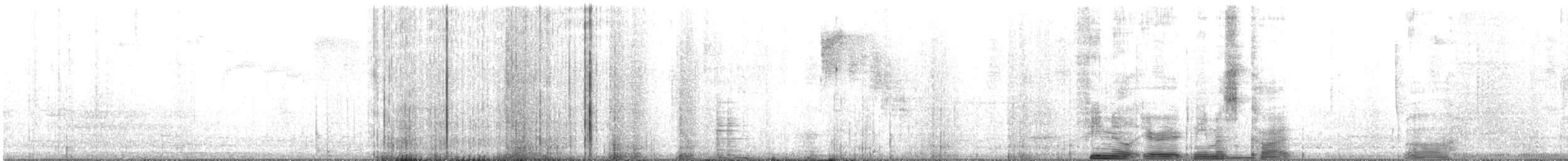 ヒカリワタアシハチドリ - ML622757851