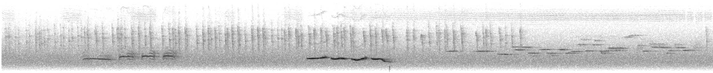 sjevrontimal - ML622760561