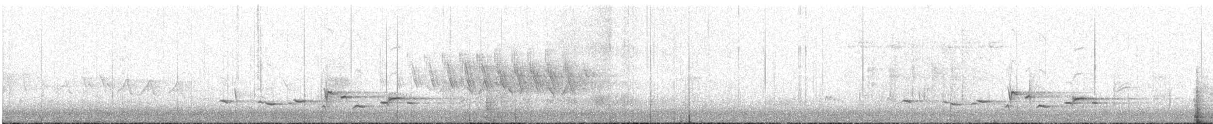 Scott's Oriole - ML622765757