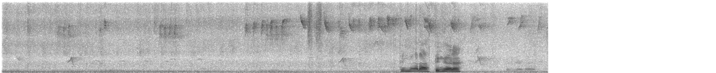 Swallow-tailed Manakin - ML622766165