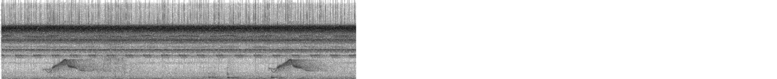 Common Pauraque - ML622766874